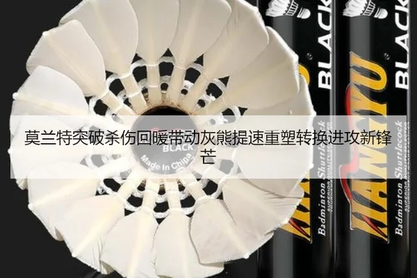 莫兰特突破杀伤回暖带动灰熊提速重塑转换进攻新锋芒